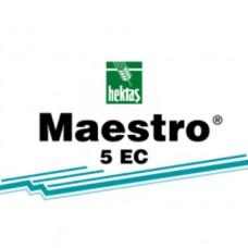 MAESTRO 5 EC